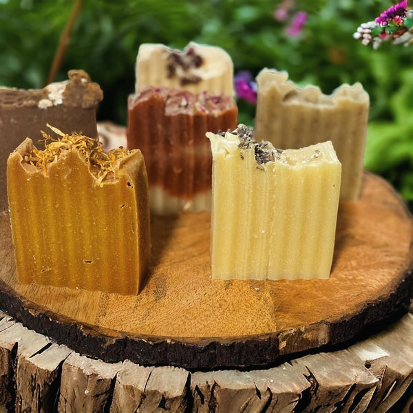 Bar Soap Bundle